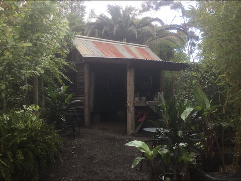 Roraima Nursery And Cafe - Sydney 4u 1
