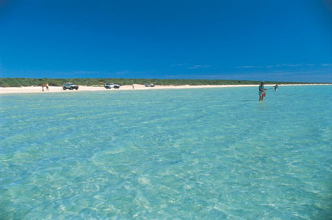 Shark Bay World Heritage Drive - Accommodation Sydney 1