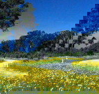 Shearer's Way - Sydney Resort