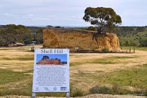 Shell Hill Reserve - Accommodation Sydney 0