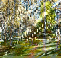 Square Head Track 1 - Sydney Resort