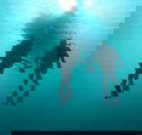 The Arches Marine Sanctuary - Accommodation Sydney