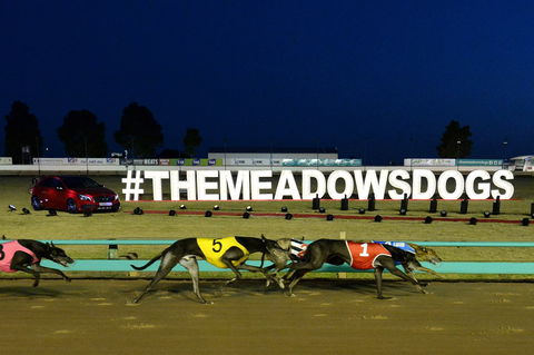 The Meadows - Accommodation Sydney 0