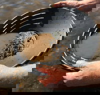 Tuena Panning for Gold - Accommodation Sydney