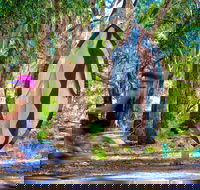 Wagirra Trail and Yindyamarra Sculpture Walk - Sydney 4u