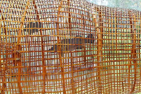 Wagirra Trail And Yindyamarra Sculpture Walk - Sydney 4u 2