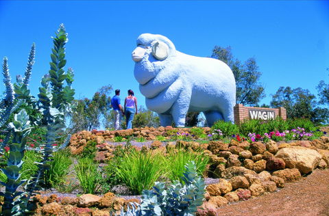 Wagin - Sydney 4u 0