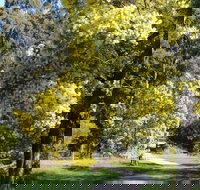 Wattle Park - Sydney Resort