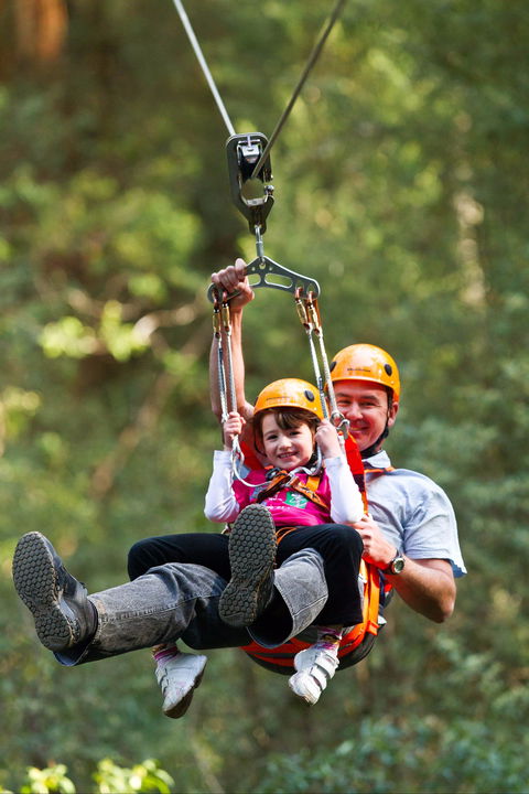 Zipline At Illawarra Fly - Accommodation Sydney 0