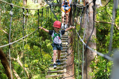 Zipline At Illawarra Fly - Accommodation Sydney 1