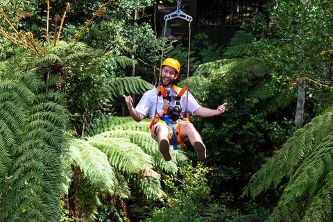Zipline At Illawarra Fly - Accommodation Sydney 2