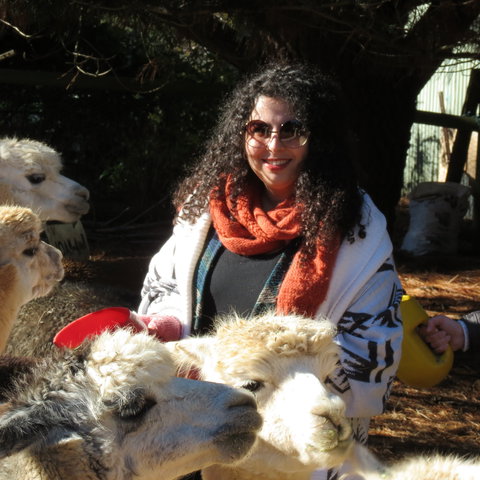 Alpaca Farm Experience At Crookwell - Sydney Resort 1