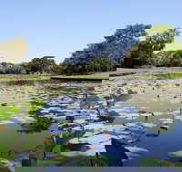 Anderson Park Botanic Gardens - Accommodation Sydney