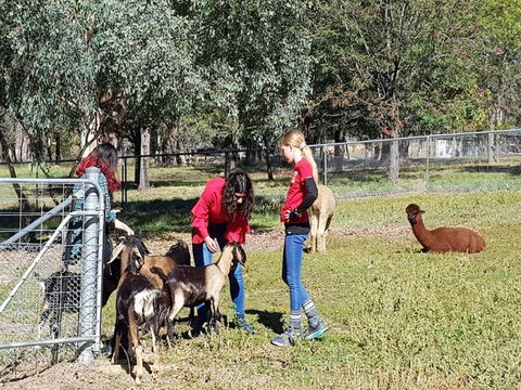 Animal Farm Visit - Accommodation Sydney 1