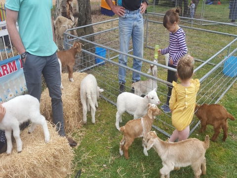 Animal Farm Visit - Accommodation Sydney 2