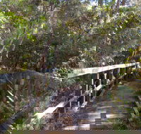 Awaba Bay Foreshore Walk - Accommodation Sydney