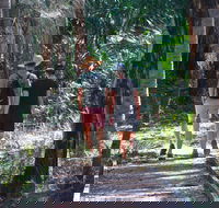 Banksia Track Burrum Coast National Park - Accommodation Sydney