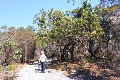 Banksia Track, Burrum Coast National Park - Sydney 4u 1