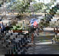 Bidgee Riverside Trail  - Hay Nature Walk - Accommodation Sydney