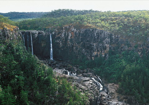 Blencoe Falls, Girringun National Park - Sydney Resort 2