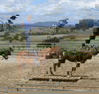 Boggy Creek Show - Accommodation Sydney