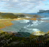 Bullimah Spur Track - Accommodation Sydney