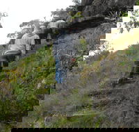 Bundidgerry Walking Track - Sydney 4u