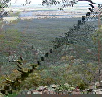 Burrabadine Walking Track - Sydney Resort