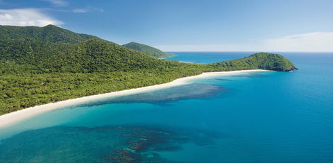 Cape Tribulation, Daintree National Park - Sydney 4u 0