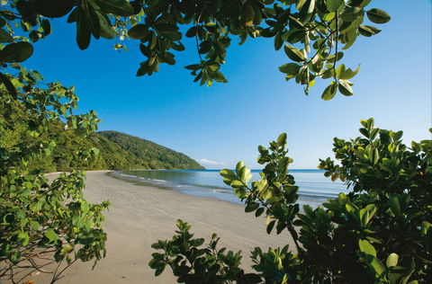 Cape Tribulation, Daintree National Park - Sydney 4u 1