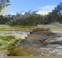 Christmas Rock Walk - Accommodation Sydney