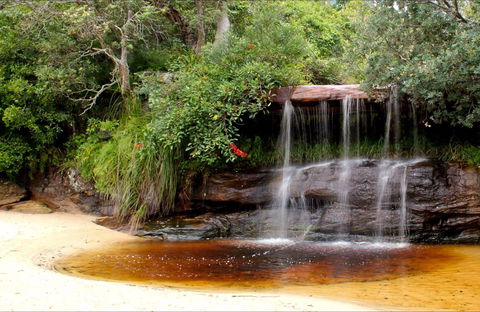 Collins Flat Beach - Accommodation Sydney 0