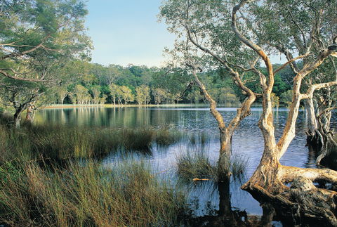 Cooloola, Great Sandy National Park - Accommodation Sydney 1
