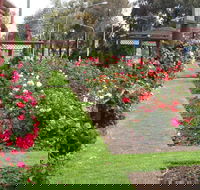 Cowra Rose Garden - Accommodation Sydney