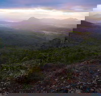 Cunninghams Gap and Spicers Gap Main Range National Park - Accommodation Sydney