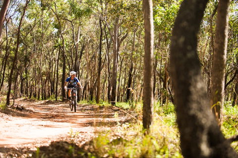 Davies Creek Mountain Bike Park - Sydney 4u 1