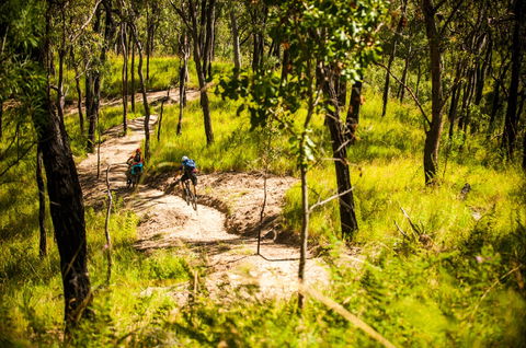 Davies Creek Mountain Bike Park - Sydney 4u 2