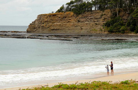 Depot Beach Picnic Area - Sydney 4u 0