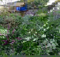 Down to Earth Permaculture - Accommodation Sydney