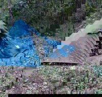 England Creek Bush Camp - Sydney 4u
