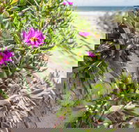 Fort Bribie - Accommodation Sydney