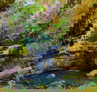 Glimpse of the Outback 5 Day Tour - Roma and Surrounds