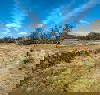 Goldseekers track - Accommodation Sydney