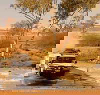 Innamincka Regional Reserve - Accommodation Sydney