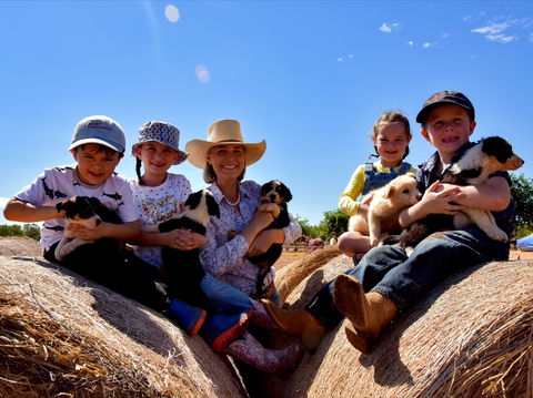 Katherine Outback Experience - Sydney 4u 1