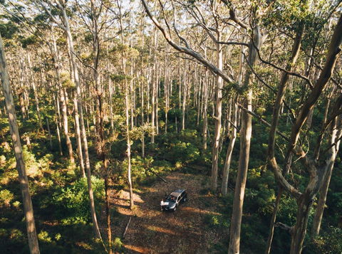 Leeuwin-Naturaliste National Park - Cowaramup - Sydney 4u 0