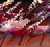 Loviz Arts Gallery - Accommodation Sydney