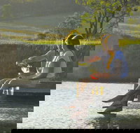 Lovedale - Accommodation Sydney