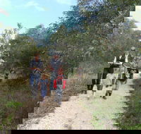 Meningie Lions Walking Trail - Accommodation Sydney