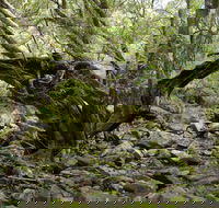 Mitchell River Walking Track - Accommodation Sydney